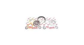 Ford 4R70W AODE Raybestos Performance Front Band + Clutch & Steel Plate Kit 94+, AODE, Transmission parts, tooling and kits