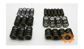 Ford Galaxy 6DCT450 Powershift Automatic Gearbox DCT Wet Clutch Spring Kit, 6DCT450, Transmission parts, tooling and kits