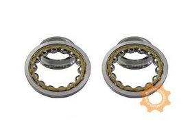 BMW 1 Series Diff Side Bearing Pair Genuine OEM, misc, Transmission parts, tooling and kits