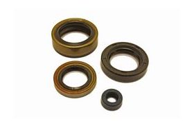 Ford Lotus Cortina 2000E Bullet Gearbox Oil Seal Set, misc, Transmission parts, tooling and kits