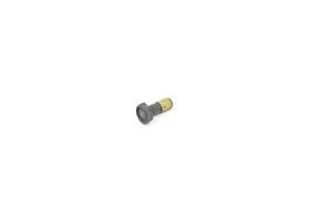 BMW Flexplate Mounting Bolt - Genuine BMW 11227805885, misc, Transmission parts, tooling and kits