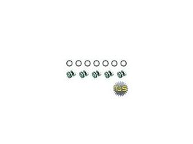 VW TF60SN/ TR60SN/TF80SC/TF81SC/09D/09G Valve Body O-Ringed End Plug Kit, 09D, Transmission parts, tooling and kits