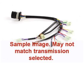 Harness U881F, U881F, TG81SC